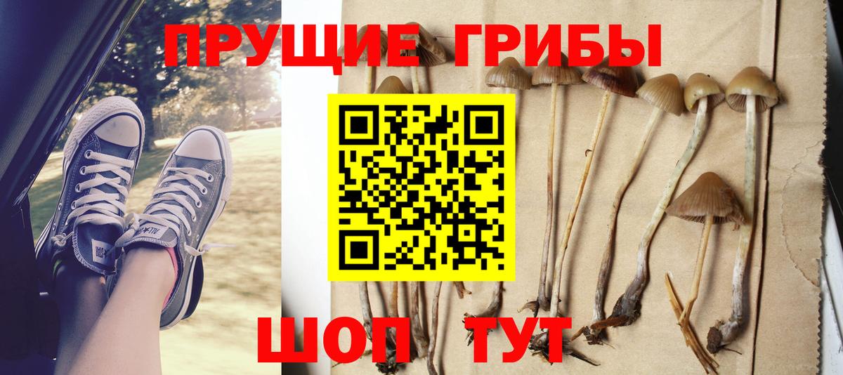 Псилоцибиновые грибы мицелий  хочу   Псилоцибиновые грибы MAGIC MUSHROOMS  Вышний Волочёк 